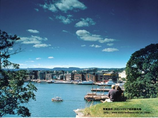 「ソグネフィヨルド・ナットシェル」周遊チケット＜ベルゲンまたはオスロ発／4月～10月＞ by Fjord Tours