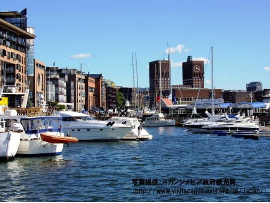 「ソグネフィヨルド・ナットシェル」周遊チケット＜ベルゲンまたはオスロ発／4月～10月＞ by Fjord Tours