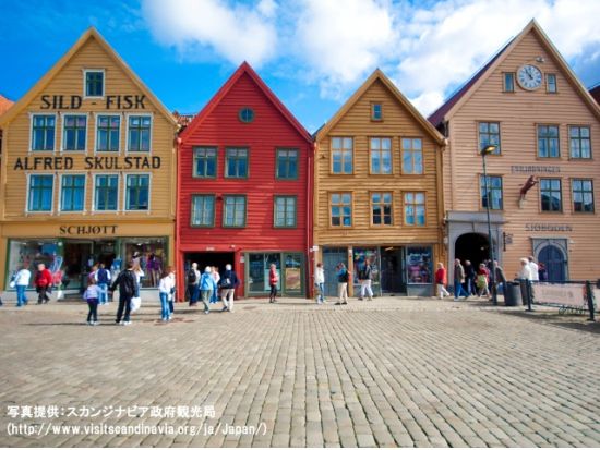 「ソグネフィヨルド・ナットシェル」周遊チケット＜ベルゲンまたはオスロ発／4月～10月＞ by Fjord Tours