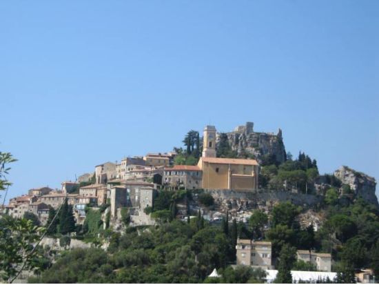 モナコ公国と鷲巣村エズ　1日ツアー＜日本語または英語／カンヌ発＞