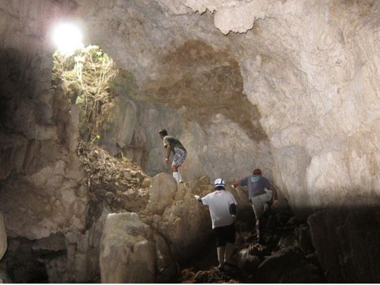 西表島マングローブカヤックツアー+洞窟探検ツアー　滝つぼでの昼食や暑い日はクールダウンで泳いでもOK＜昼食付き／送迎選択可／西表島発＞