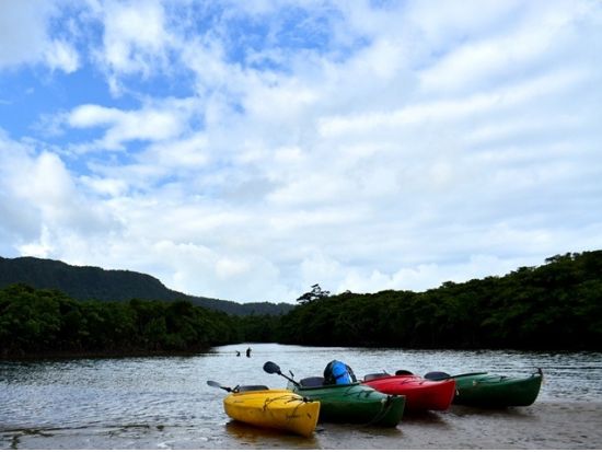ピナイサーラの滝カヌー+バラス島シュノーケリングツアー　生物の違いも楽しめる！海とマングローブ両方制覇＜昼食付き／上原港または西部地区ホテル無料送迎／西表島＞