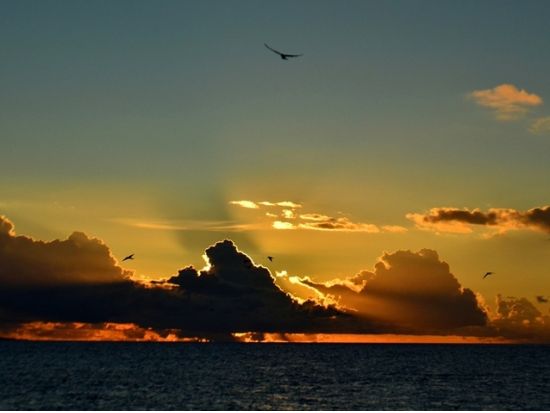 バラス島サンセットシュノーケリングツアー　西表宿泊者の特権！地平線に沈む夕日を見に行こう＜西表島滞在者限定／上原港または西部地区ホテル無料送迎／西表島＞