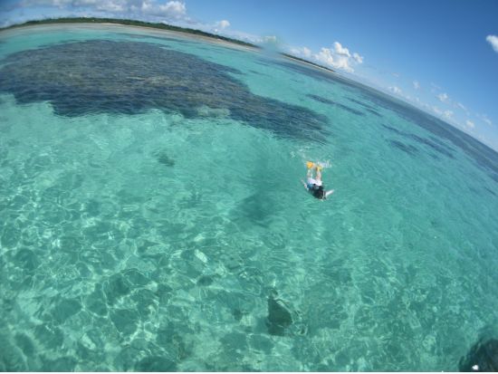 シュノーケリング半日ツアー 少人数制で息をのむような海中世界を堪能！（4歳から参加可）＜市街地ホテル送迎付／石垣島＞by オーシャンズ石垣島