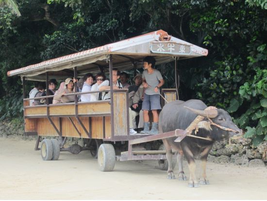 竹富島日帰り観光ツアー　体験ダイビングと竹富島フリータイムがセットになった竹富島1日満喫プラン＜1日／往路お迎え付き／石垣島発＞