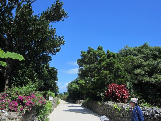 竹富島日帰り観光ツアー　体験ダイビングと竹富島フリータイムがセットになった竹富島1日満喫プラン＜1日／往路お迎え付き／石垣島発＞