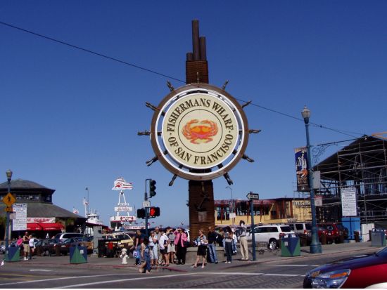 サンフランシスコ市内＆ミュアウッズ国定公園　1日観光ツアー　乗り降り自由バスで市内を観光＜英語ガイド＞