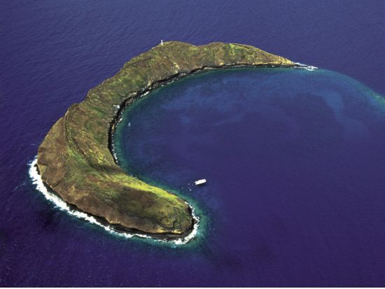 モロキニ島シュノーケリングクルーズ　モロキニ島を含む2スポットを巡る＜午前／朝食＆昼食付き／ マアラエア・ハーバー発＞