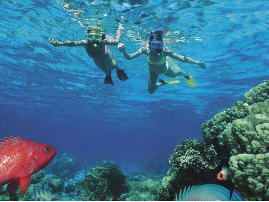 モロキニ島シュノーケリングクルーズ　モロキニ島を含む2スポットを巡る＜午前／朝食＆昼食付き／ マアラエア・ハーバー発＞