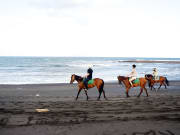 horseback ride in saba beach bali indonesia