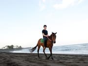 man on horseback ride in saba beach bali indonesia