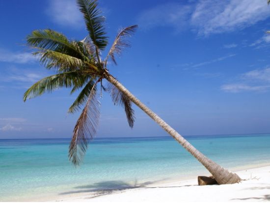 【コタキナバル発】マンタナニ島訪問ツアー＜昼食付／日本語または英語ガイド＞