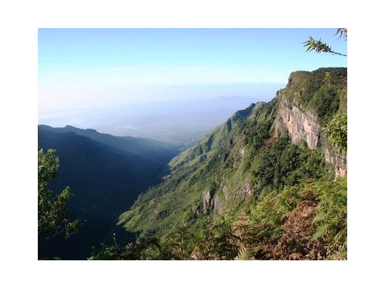 世界自然遺産ホートンプレインズ＆世界文化遺産キャンディ　1泊2日宿泊ツアー ＜貸切／日本語ガイド＞