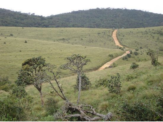 世界自然遺産ホートンプレインズ＆世界文化遺産キャンディ　1泊2日宿泊ツアー ＜貸切／日本語ガイド＞