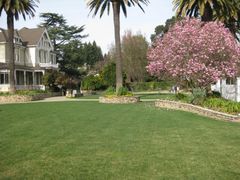Sutter Home