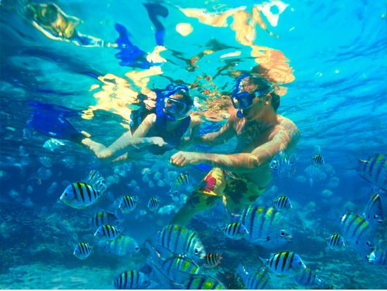 ケアウホウ湾シーカヤック＆シュノーケルツアー　海中洞窟探検プランあり　＜早朝・午前／日本語ガイド＞by キング・カヤック・ハワイ