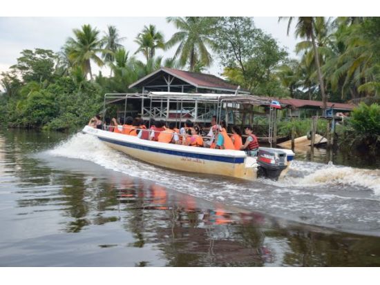 ボルネオ島リバークルーズ大自然満喫ツアー　ボルネオ島特有のテングザルや美しい夜空にきらめくホタルを鑑賞 ＜日本語／マレー料理の夕食付き／コタキナバル発＞