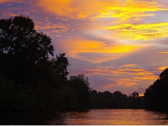 ボルネオ島リバークルーズ大自然満喫ツアー　ボルネオ島特有のテングザルや美しい夜空にきらめくホタルを鑑賞 ＜日本語／マレー料理の夕食付き／コタキナバル発＞