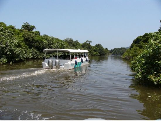 西表・由布島めぐり日帰りツアー 西表島マングローブ遊覧＋由布島水牛渡し＋由布島観光 昼食付きプランも選べる＜1日or半日／石垣島発＞