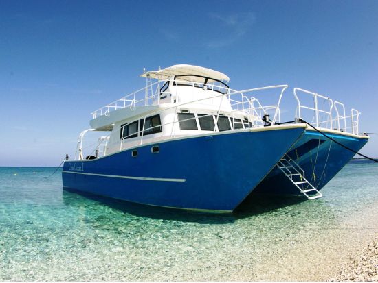 バラス島周辺シュノーケリングツアー　設備充実の大型クルーザー使用で船上も快適！ウミガメとの遭遇も高確率＜半日／西部地区送迎無料／西表島発＞