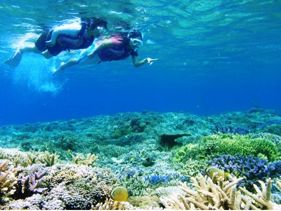 マングローブカヤック＋ピナイサーラの滝トレッキング＋バラス島周辺シュノーリングツアー　西表島の山川海を遊び尽くす1日！＜3～11月／西部地区無料送迎／西表島＞