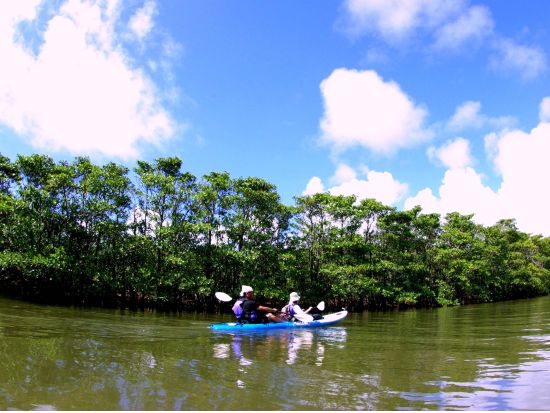 マングローブカヤック＋バラス島周辺シュノーケルツアー　沖縄県最長の川「浦内川」をカヌー！星砂の浜お散歩付き＜3～11月／昼食付／西表島発＞byクロスリバー