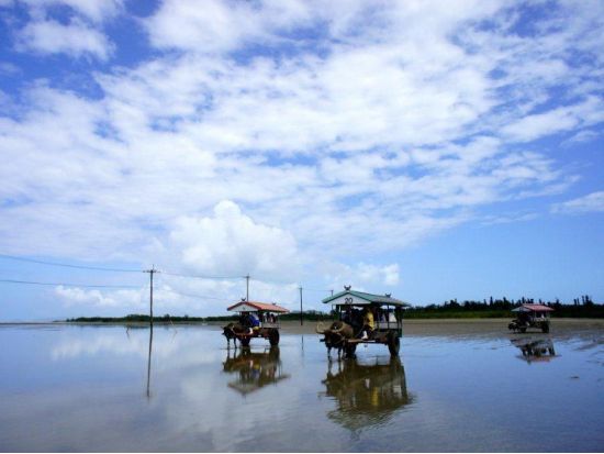 【ベストプライス】西表・由布島めぐり日帰りツアー　マングローブ遊覧＋水牛車＋由布島たっぷり90分＜石垣島発着／半日／昼食／送迎＞