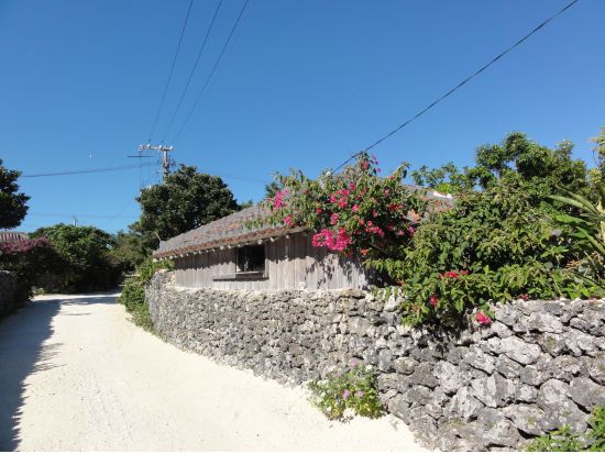 【ベストプライス】竹富島日帰り観光ツアー　水牛車で楽しむ竹富島での過ごし方＜半日／指定ホテルお送り＞