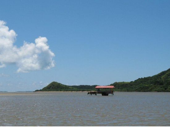 【ベストプライス】2島めぐり 西表・由布 日帰りツアー   西表島ちょっぴりカヌー体験＋水牛車＜約6時間／3歳～／昼食付＞