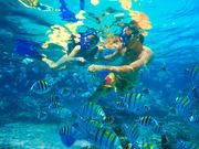 Snorkelers2