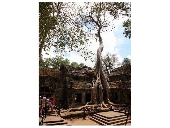 バンテアイスレイとアンコール遺跡群＜昼食付き＞(シェムリアップ発)