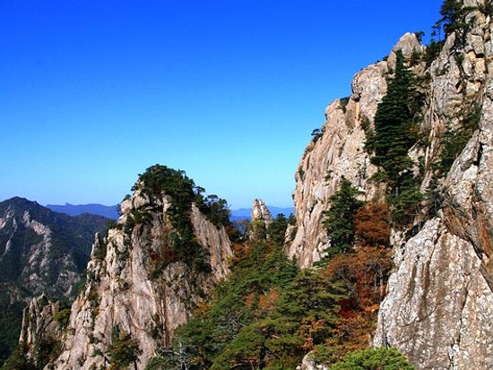 ソウル発 近郊ツアー 初夏の雪岳山 江原道 洛山寺 アバイ村 観光ツアー 1日 ホテル送迎付 日本語ガイド 昼食付 ソウルの観光 オプショナルツアー専門 Veltra ベルトラ