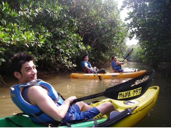慶佐次川マングローブカヤックツアー 　沖縄本島最大規模のマングローブ群衆を誇るやんばるエリアで体験　3歳から参加可能＜やんばる（東村）＞by やんばる.クラブ