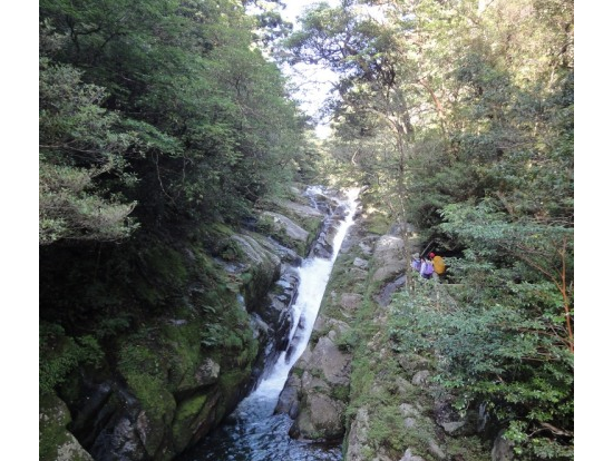 白谷雲水峡半日（苔むす森まで）トレッキングツアー  基本登山装備3点レンタル可能プランもあり by 屋久島ガイド21EC-K