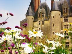 Château Langeais