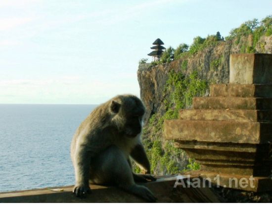 【貸切】ウルワツ寺院の夕日＆ケチャックダンス観賞　高級ホテルディナー付きプランあり！＜午後／日本語ガイド／夕食選択可＞