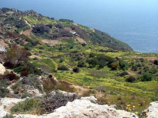 01Dingli Cliffs1