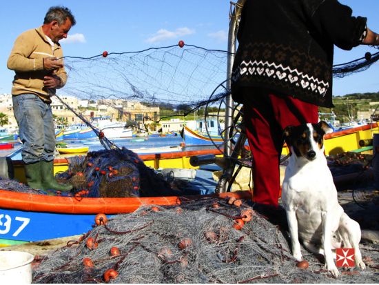 【プライベートツアー】青の洞門・巨石神殿・漁村マルサシュロック・ヴァレッタ＜車＋日本人 or 英語ガイド貸切／昼食付＞
