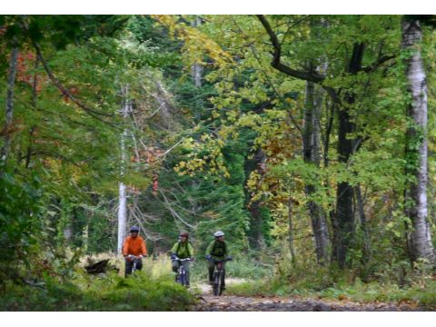 【MTB／サイクリング】原生林野幌の森をMTB指導員兼ネイチャーガイドがじっくりご案内＜半日／札幌市街地送迎付／札幌発＞by Giro21