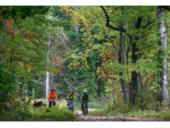 【MTB／サイクリング】原生林野幌の森をMTB指導員兼ネイチャーガイドがじっくりご案内＜半日／札幌市街地送迎付／札幌発＞by Giro21