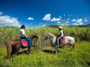 Horseback riding in bushland day tour from cairns