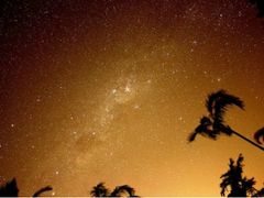 星空鑑賞＆ワイルドアニマル探索ナイトツアー！美しい夜空に輝く星とワラビーなどの夜行性動物を探しに行こう！＜夜発／日本語＞byどきどきツアーズ