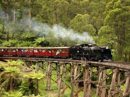 2000円オフクーポン対象】蒸気機関車パッフィンビリーとザ・ダンデノン