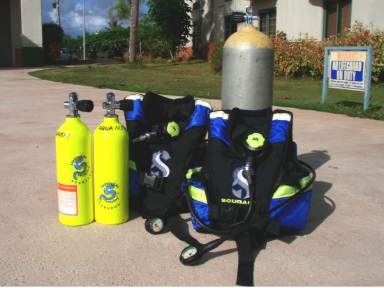 シュノーケリング　お子様も安心安全！ダイビング器材を使ったアクアシュノーケリングプランあり＜日本語／送迎付き＞byアクアアカデミー