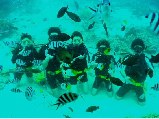 キッズ体験ダイビング お子様と体験する感動の水中世界！＜貸切／8歳以上／日本語インストラクター／1ビーチダイブ＞by アクアアカデミー