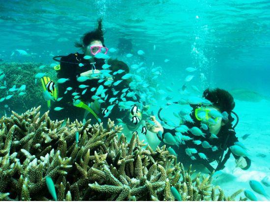 キッズ体験ダイビング お子様と体験する感動の水中世界！＜貸切／8歳以上／日本語インストラクター／1ビーチダイブ＞by アクアアカデミー