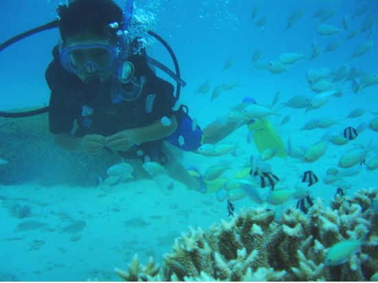 キッズ体験ダイビング お子様と体験する感動の水中世界！＜貸切／8歳以上／日本語インストラクター／1ビーチダイブ＞by アクアアカデミー