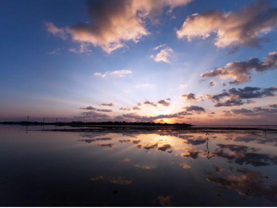 由布島水牛車往復券＋入園券 自由な時間でのんびり植物園を満喫！ 三線を聞きながら水牛車で由布島へ行こう！＜西表島発＞
