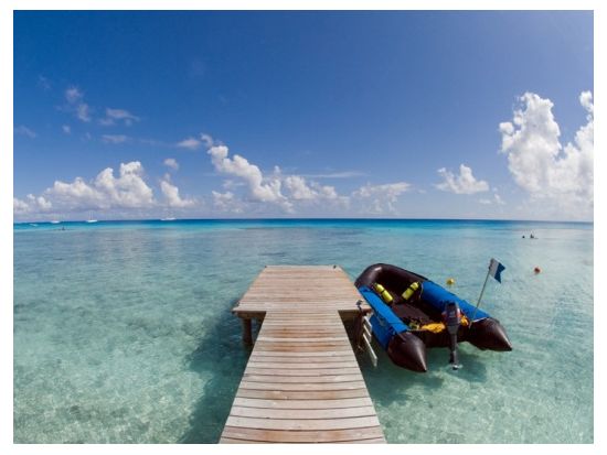 ファンダイビング　フレンチポリネシア最大の環礁の島「ランギロア島」の海へ！＜ボート／2ダイブ／ランギロア島／英語＞by トップダイブ