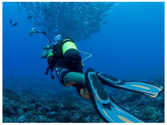 体験ダイビング　ユネスコ自然保護地区「ファカラヴァ島」の豊かな海を満喫＜ボート／1ダイブ／ファカラヴァ島／英語＞by トップダイブ
